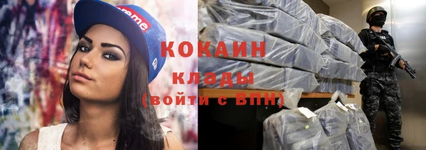дживик Аркадак