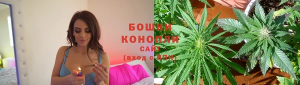 ПСИЛОЦИБИНОВЫЕ ГРИБЫ Арсеньев