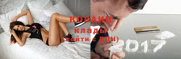 дживик Аркадак