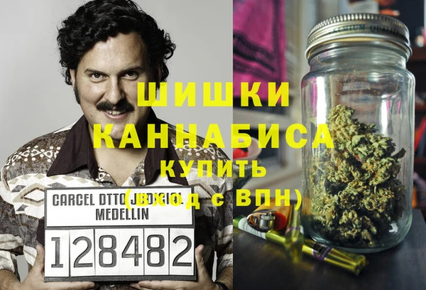 ПСИЛОЦИБИНОВЫЕ ГРИБЫ Арсеньев