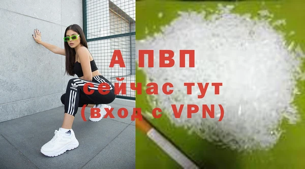 дживик Аркадак