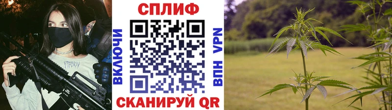 МАРИХУАНА ГИДРОПОН  Урень 